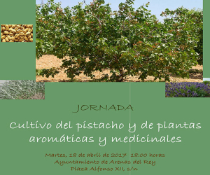 Para los interesados en el ‘Cultivo del pistacho y de plantas aromáticas y medicinales’, sesión de tarde en Arenas del Rey