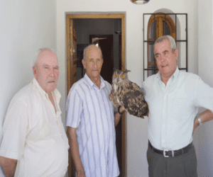 Rapaz nocturna recuperada