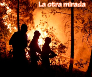 Héroes anónimos