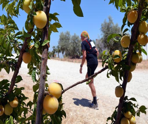 La Al Andalus Ultimate Trail 2017 se inicia este lunes con 75 corredores de 20 países 