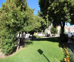 El Ayuntamiento de Alhama emite un comunicado sobre la aparición de roedores en los jardines de la Plaza Duque de Mandas