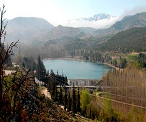 La Junta programa diversas actividades para todos los públicos con motivo del Día Mundial de las Aves