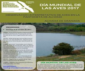 Dia mundial de las aves 2017