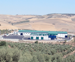 La Guardia Civil informará sobre normativa y hechos delictivos en la campaña olivarera