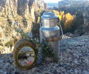 Los quesos de quesería cortijo el aserradero entre los mejores del mundo