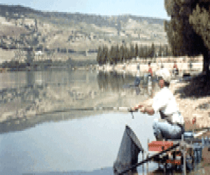 XV campeonato de pesca en agua dulce