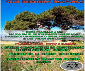 Homenaje al Pino de Las Cinco Ramas de Jayena y siembra del nuevo Pino de Las Cinco Ramas