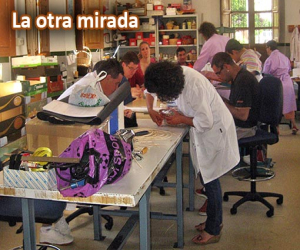 Carta abierta a la gente del Lucero