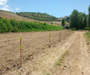 Se dan los primeros pasos para la creación de huertos sociales en Alhama