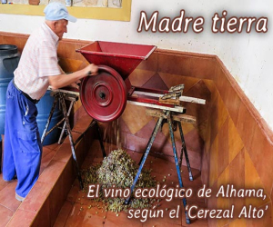 El vino ecológico de Alhama, según el 'Cerezal Alto'