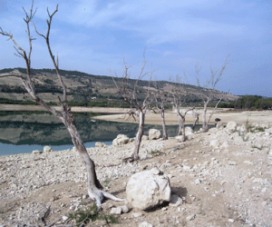 Ante el cambio climatico no te puedes quedar frio