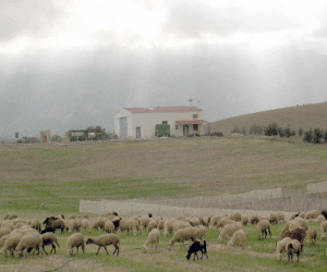 Jornadas de Agricultura y Ganadería Ecológica en el Parque Natural