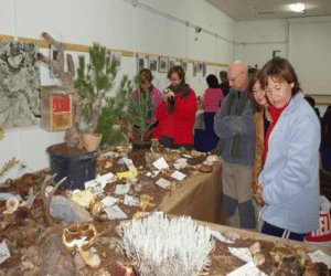 Jayena y Fornes celebran unas jugosas jornadas micológicas