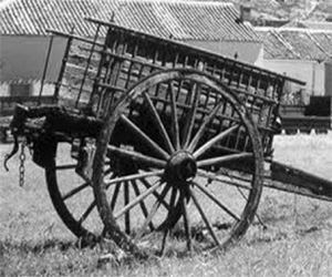 Historias de Bonilla “El Pecas”: Un cambio irreversible