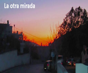 Me equivocaría otra vez