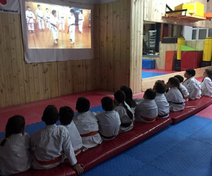 La práctica apoyada en la teoría