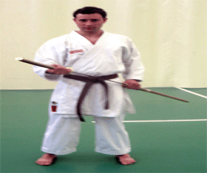 Kampeonato anual de karate Ippon