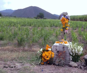 Ni un ramo más ni una vida menos