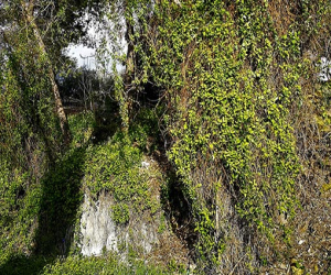 Fuente barranco