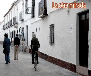 Teoría del funcionamiento automático de España