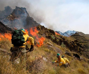 Abierta bolsa de trabajo de bombero forestal
