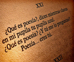 Mujer y poesía 2007