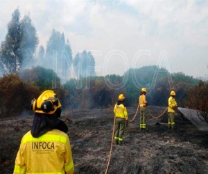 120 plazas para el dispositivo de prevención y extinción de incendios forestales en Andalucía