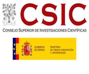 El CSIC convoca 135 contratos para Titulados Universitarios y FP (promoción del empleo joven)
