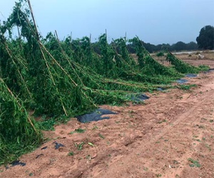 Las ayudas por el temporal se amplía a 127 municipios