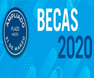 Fundación Magtel ofrece 30 becas de prácticas profesionales dentro de su Programa de Iniciación en el Ámbito Empresarial