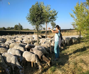La Escuela de Pastores de Andalucía 2020 amplía el plazo de inscripción por el Covid-19