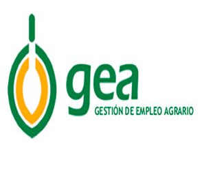 Si eres trabajador o empresario del sector agrario, ahora te puedes beneficiar de la plataforma de Gestión de Empleo Agrario (GEA) del SAE