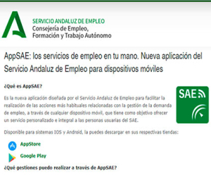 Realiza la reinscripción de tu demanda de empleo desde la web del SAE