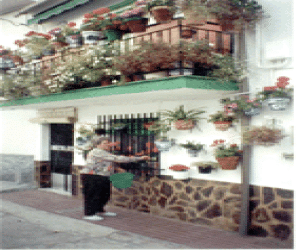 Fornes se pone guapa