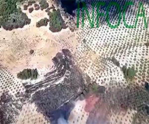 Infoca despliega medios terrestres y aéreos por un incendio declarado en Jayena