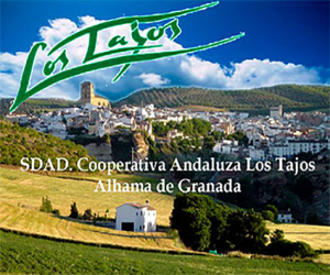 La cooperativa Los Tajos premiada por elaborar el mejor aceite temprano coupage
