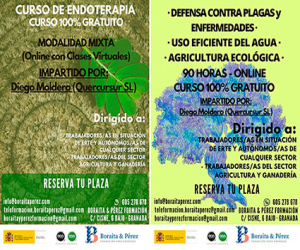 Curso de endoterapia con clases virtuales y gratuito