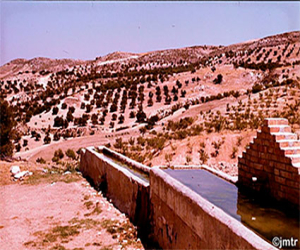 Agua del cortijo El Aire