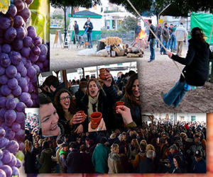 El coronavirus también se llevó por delante La Candelaria, la Fiesta del Vino 2021 y el Carnaval