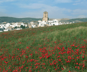 Caricia de primavera