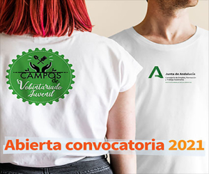 Programa de Campos de Voluntariado Juvenil