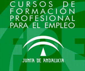 Aprobados los cursos de formación profesional para el empleo (FPE) en la provincia de Granada