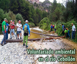Voluntariado ambiental en el río Cebollón