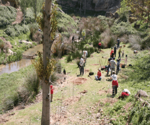 Jornada de plantación promovida por la asociación El Quejigo