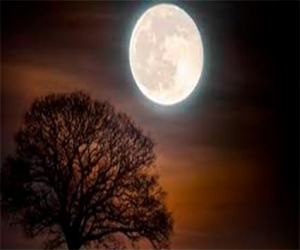 Poemas breves II