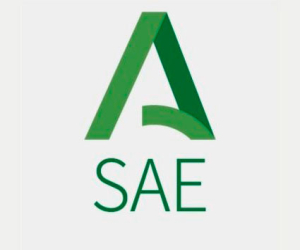 Nuevo modelo de cita previa en oficinas de Empleo del SAE