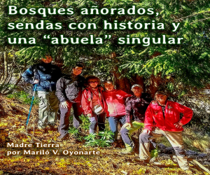 Bosques añorados, sendas con historia y una “abuela” singular