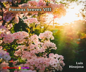 Poemas breves VIII