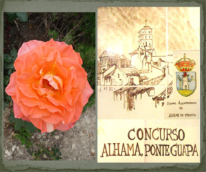 Cuatro años guapa (2007)