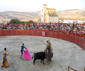 El cartagenero fue el triunfador en la novillada de Alhama 2007
